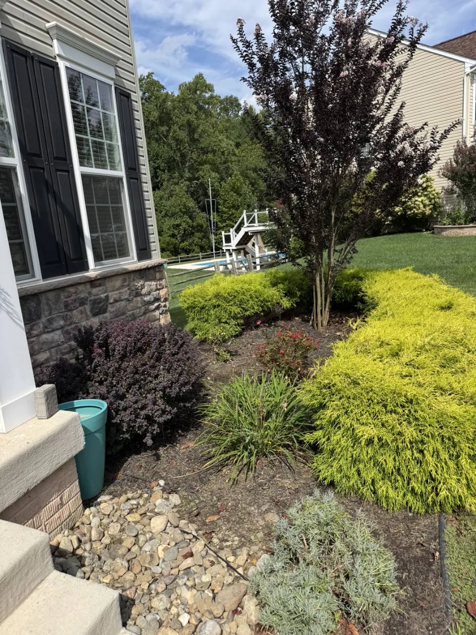 Garden bed beside the home after weeds were removed and the existing shrubs were tidied.