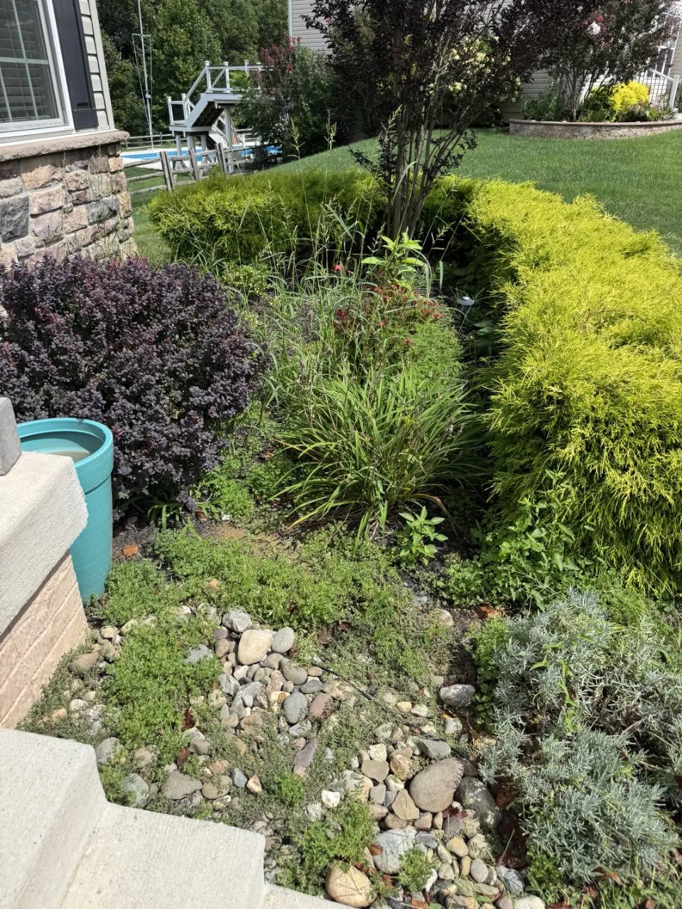 Garden bed beside the home with tall weeds and overgrown growth before removal.